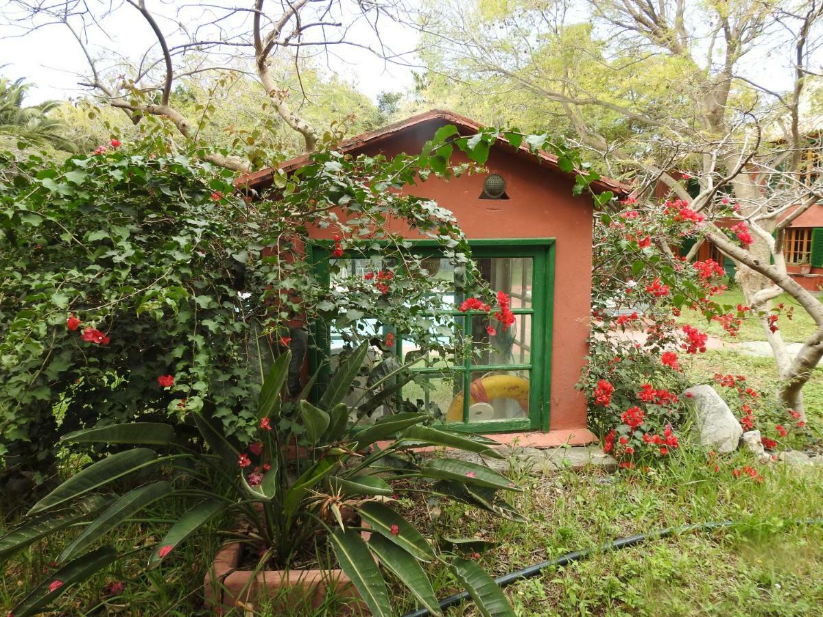 Villa La Casa Del Molino De Viento Agaete  Exterior foto